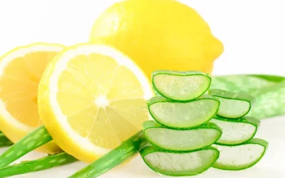 Obat Herbal Jerawat: Alternatif Alami untuk Kulit Bersih dan Sehat